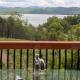 Lake & Mountain Views every room in the house! Dandridge - Fotografie 7