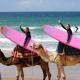 Deep Surf house