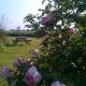 The Dairy, Holly Tree Barns, Cratfield (fotografie 3)
