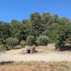 Pavillon La Ruine, Draguignan (zdjęcie 7)