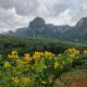 7 heaven resort at krabi เซเว่น เฮฟเว่น รีสอร์ท แอท กระบี่, Ban Nai Sa (zdjęcie 6)