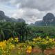 7 heaven resort at krabi เซเว่น เฮฟเว่น รีสอร์ท แอท กระบี่, Ban Nai Sa (zdjęcie 10)