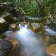 Daintree Cascades Cape Tribulation - Photo 8