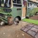 Banksia Bus, Longley Lower (foto 3)