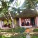 Paddy Homestay