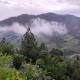 The Chimes House, Kausani (fotografie 2)