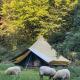 SENSI - glampingtenten midden in de bossen Oostkamp - Fotografie 2