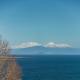 Muritai - Size! Location! Views! Taupo - Photo 9