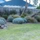 Dog heaven, Sandy Point (photo 8)