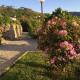 Quinta de CasalMato, Resende (zdjęcie 9)