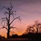 Acorns and Quackers Self Catering