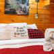 Goodness Mercy Cabin, Sevierville (foto 8)
