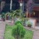 Zarita Resort, Kakamega (foto 8)