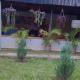 Zarita Resort, Kakamega (foto 9)