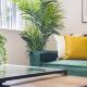 Modern 1BR Flat Gravesend with Parking Sleeps 2, Gravesend (photo 8)