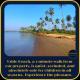 Riverside, The European Homestay 1 and 2! Luxury and Value in Goa's delightful location, Agarvado (fotografie 10)