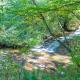 Tucked away in the woods - minutes to the New River - Acreage to explore!, Jefferson (Foto 3)