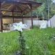 Sompal Serviced Apartment, Paro (photo 5)