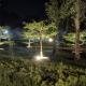 Coffee Paradise Resort, Chikmagalūr (fotografie 9)