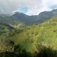 The Mountain Goat, Morogoro (foto 5)