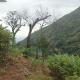 The Mountain Goat, Morogoro (foto 7)