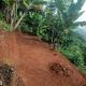 The Mountain Goat, Morogoro (foto 10)