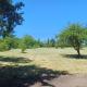 Exceptional cottage, Tournus (Foto 5)