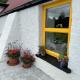 The Hollow, Laois (fotografie 9)