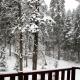 Private apartments in Flora Residence, Borovets (foto 9)