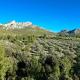 Arty Provence, vue, calme et piscine chauffée dans les Alpilles proche St-Rémy-de-Provence, Saint-Étienne-du-Grès - Fotografie 2