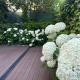 Luxury 130 m2 Apartment with Garden, Wien - Foto 7