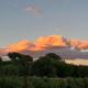Riesling Retreat, Cottonwood (photo 5)