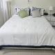 7 minutes from Apgujeong Station, Gangnam Rodeo, Garosu-gil, Luxury Street, Seoul - Photo 4