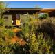 Fynbos Gypsy Caravan at The Far Side Rest Camp, Barrydale (fotografie 9)