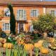 Bed & Tours Dimora di campagna, Castelnuovo Belbo