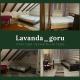 lavanda gory, Dilove (fotografie 5)