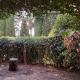 Nice Cimiez Garden, Nice - Fotografie 2