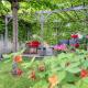 La Pause Tourangelle, Tours