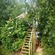 Sweet Treehouse, Westbeemster (foto 2)