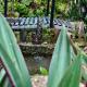 Casa Ricky's, Orange Walk (fotografie 4)