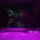 Le Midori - Private Jacuzzi, Saint-Paul - Fotografie 8