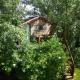 Sweet Treehouse, Westbeemster (foto 3)