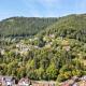 Black Forest Apartment, Bad Wildbad - Fotografie 3