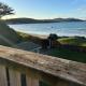 Waiwhare on the Beach - Beach Front Property, Castlepoint - Fotografie 10