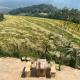 Sapa Guide Homestay & Trekking, Lao Cai (fotografie 6)