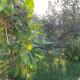 Жилье целиком на природе, Solnechnyy (foto 7)