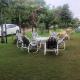 Mountain View Resort, Islamabad (foto 6)
