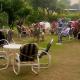 Mountain View Resort, Islamabad (foto 3)