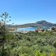 Olive Grove Plakias - Foto 1