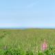 Holiday Home Ananda - 245m from the sea by Interhome, Hjorring (fotografie 3)